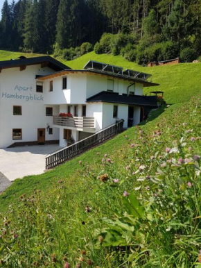 Apart Hambergblick, Emberg